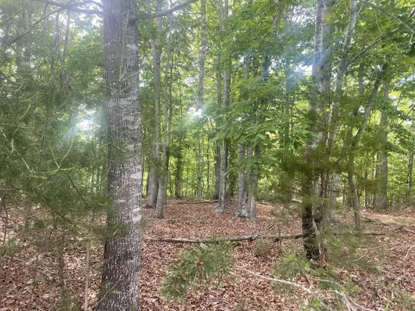 Pittsville, VA 24139,Lot 19 Robin Ridge CT