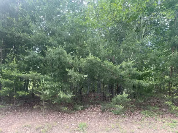 Pittsville, VA 24139,Lot 19 Robin Ridge CT