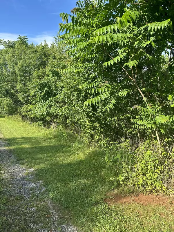 Lot 79 Virginia Ridge DR, Hardy, VA 24101