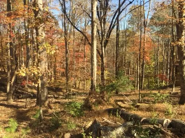 Lot 21 Catamaran LN, Moneta, VA 24121