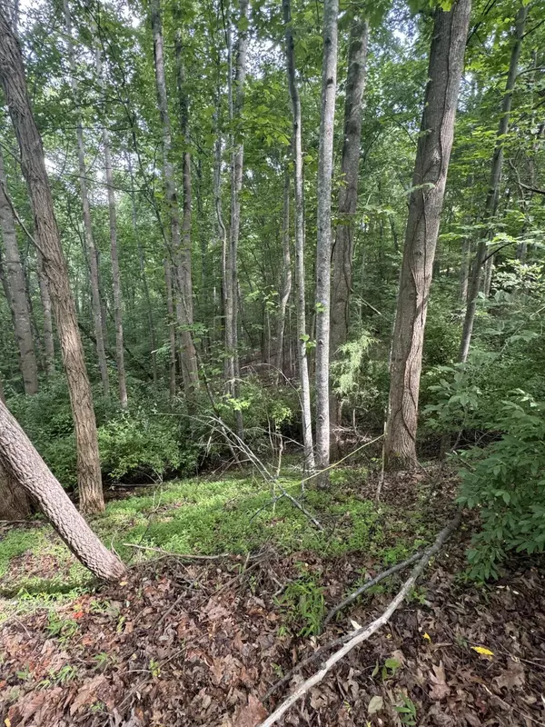 Hardy, VA 24101,Lot 88 Hardwood CT