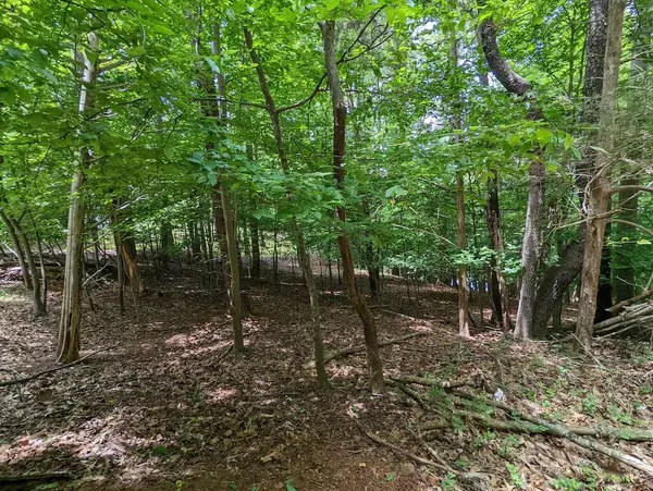 Moneta, VA 24121,Lot 114 Forest Lawn DR