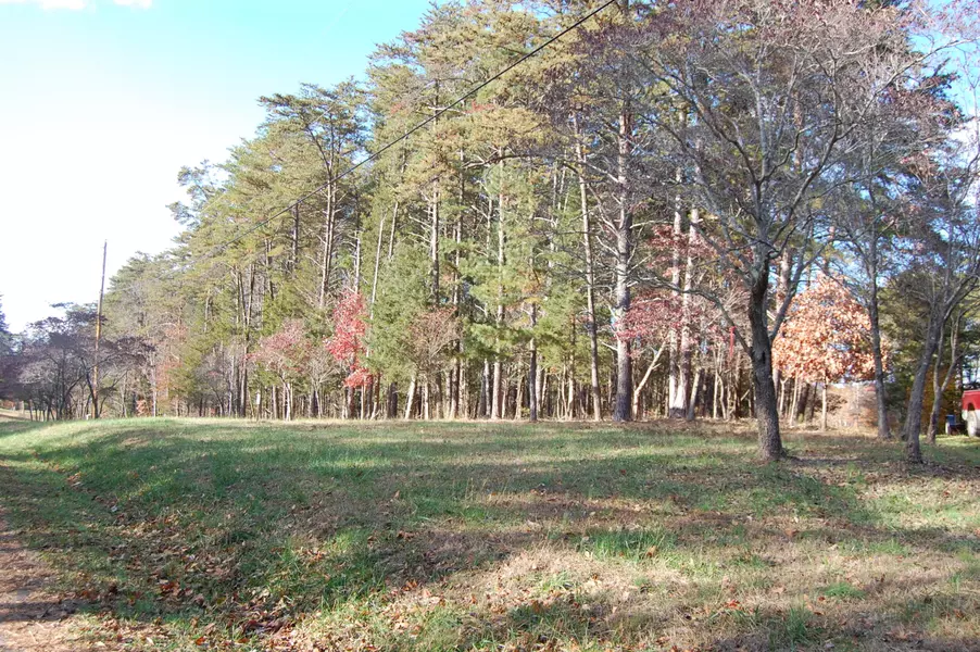 Lot 2 River Creek RD, Wirtz, VA 24184