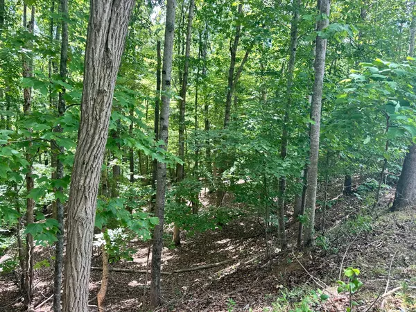 Moneta, VA 24121,Lot 65 Ridgeway CT