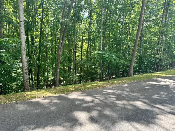 Moneta, VA 24121,Lot 65 Ridgeway CT