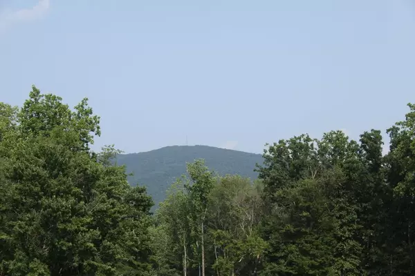 Penhook, VA 24137,Lot 508 South View CIR