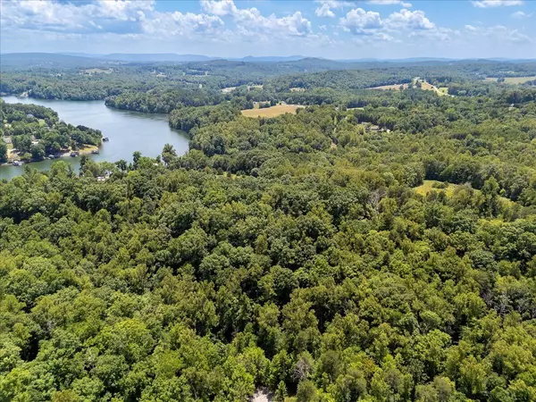 Glade Hill, VA 24092,Lot 60 Lakepointe Cove CT