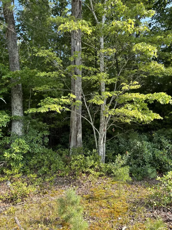 Lot 4 White Oak RD,  Boones Mill,  VA 24065