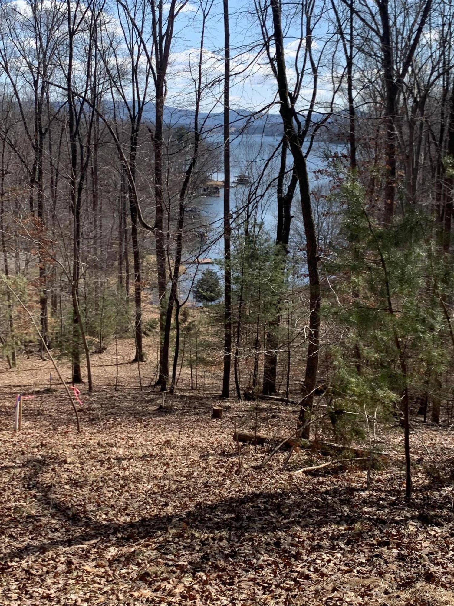 Wirtz, VA 24184,0 Fox Chase RD