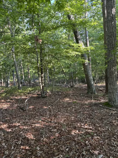 Lot 75 Mountain View Shores, Huddleston, VA 24104