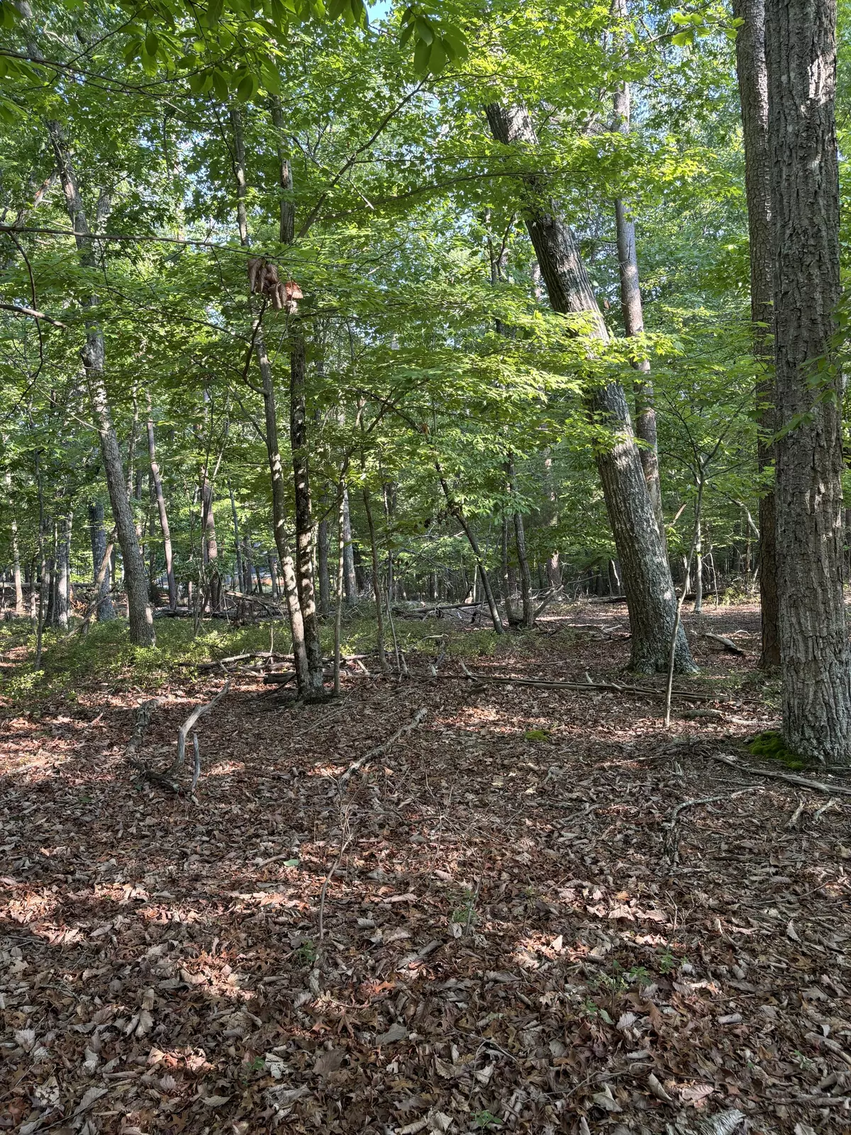 Huddleston, VA 24104,Lot 75 Mountain View Shores