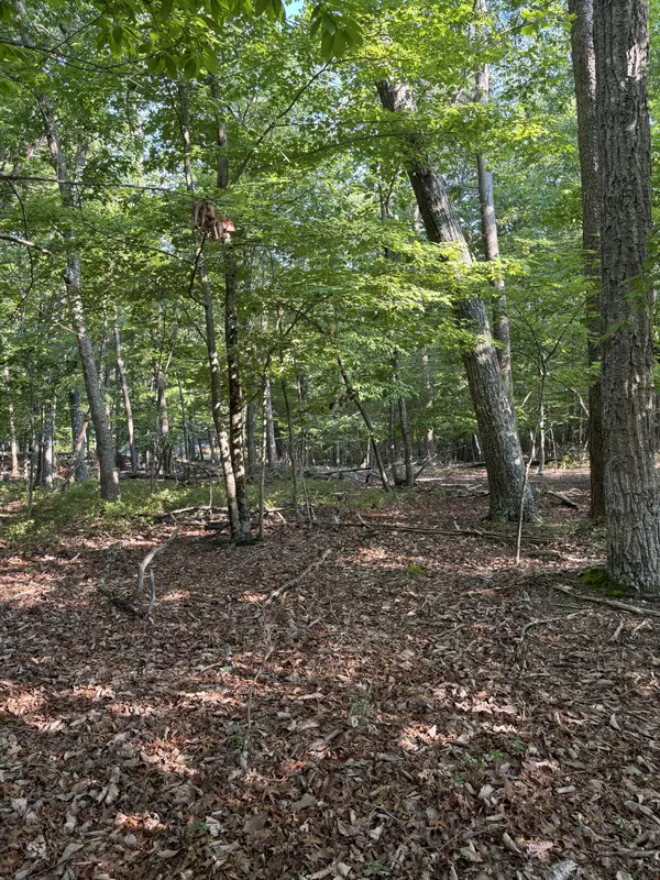 Lot 75 Mountain View Shores, Huddleston, VA 24104