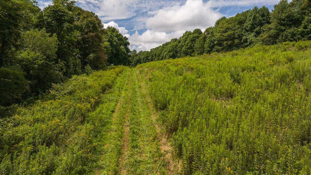 Laurel Fork, VA 24352,0 Football LN