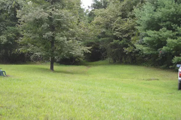 New Castle, VA 24127,000 Little Mountain TRL