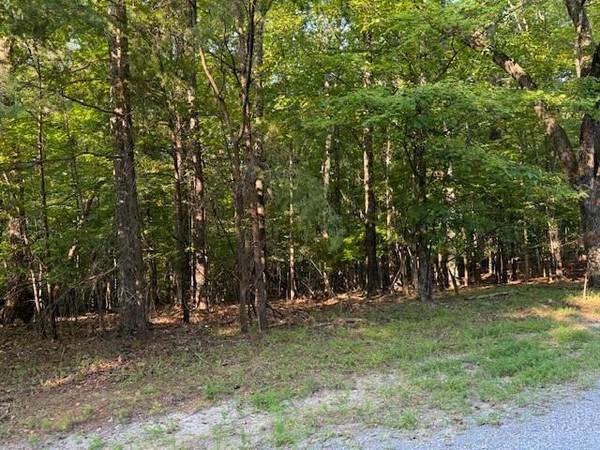 Lot 22 Woodshire DR, Blue Ridge, VA 24064