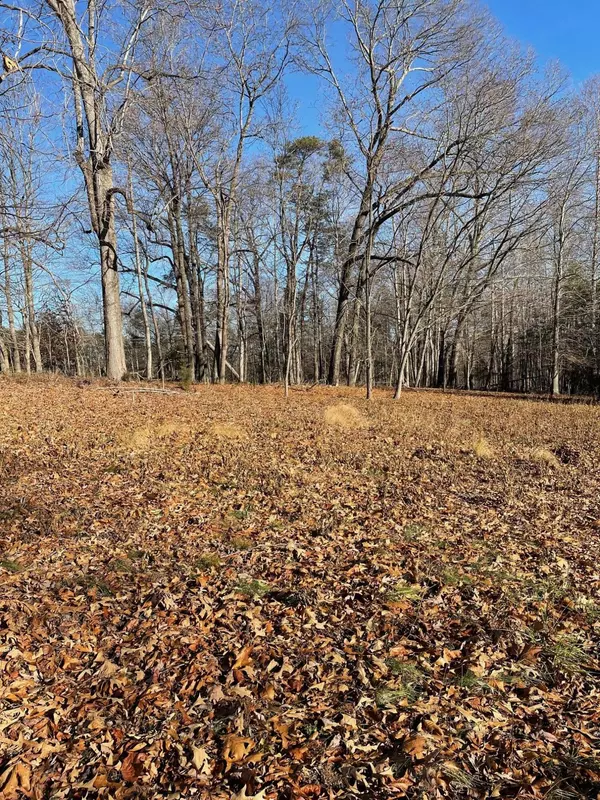 Glade Hill, VA 24092,LOT 49 LAKE VIEW PT