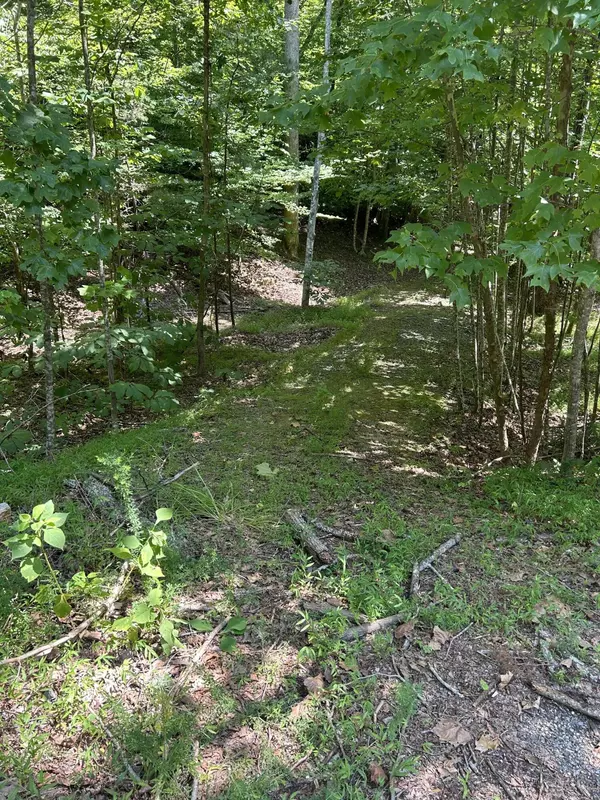 Glade Hill, VA 24092,Lot 59 Lakepointe Cove CT