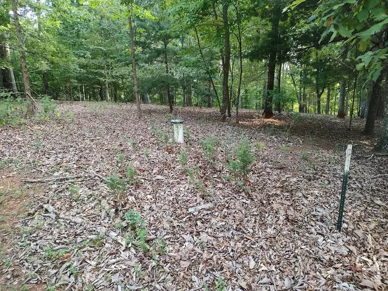 Lot 3A Snidow DR, Goodview, VA 24095