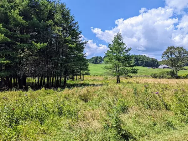 Copper Hill, VA 24079,8261 Deer Run DR