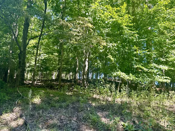 LOT 1 Whisperwood LN, Moneta, VA 24121