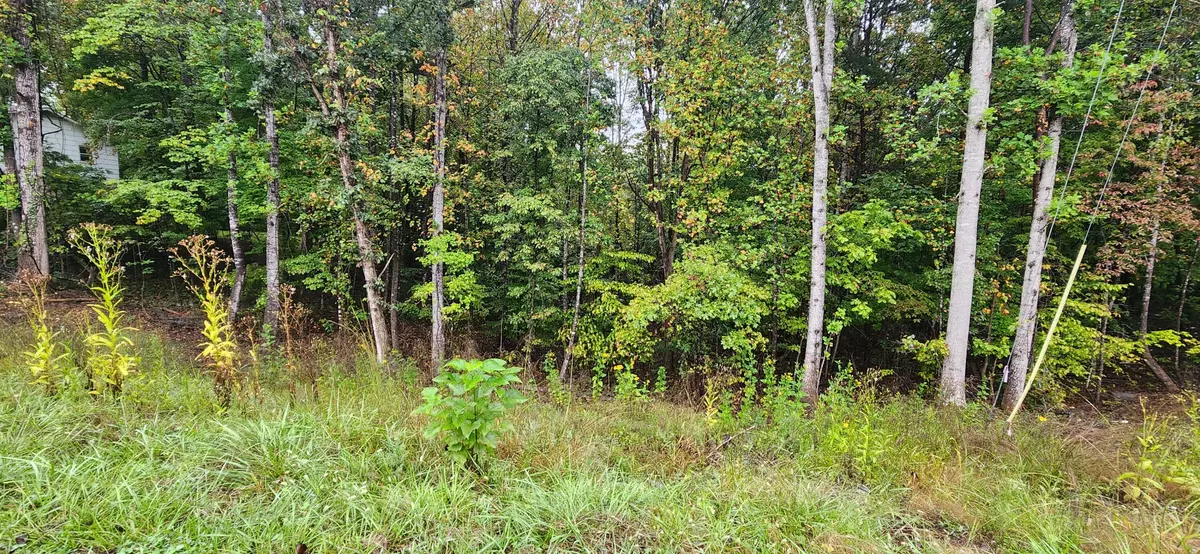 Rocky Mount, VA 24151,Lot 35/36 Circle View ST