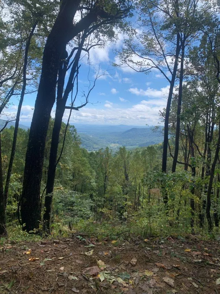 Bent Mountain, VA 24059,0 Slings Gap RD