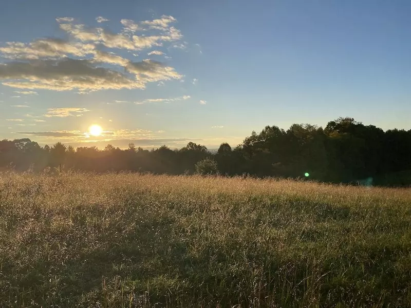 TBD Reedsville RD, Floyd, VA 24091