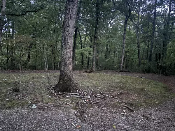 Boones Mill, VA 24065,80 Ashlee LN