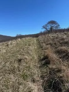 New Castle, VA 24127,Lot 13 Little Mountain RD