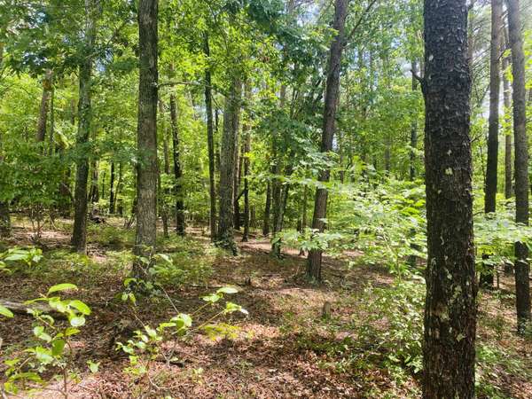 Lot 97 Greenberry DR, Pittsville, VA 24139