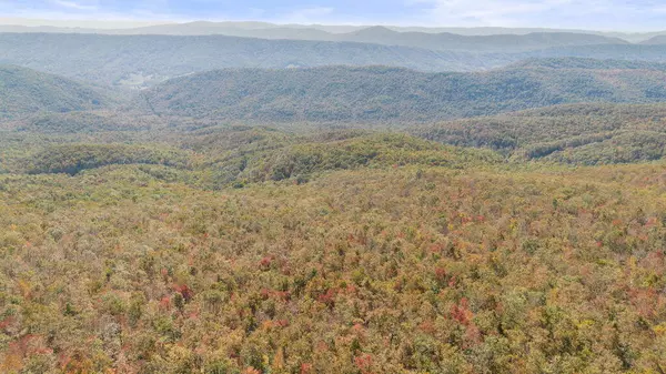 Lot 13A Oneida Peak RD, Tazewell, VA 24651