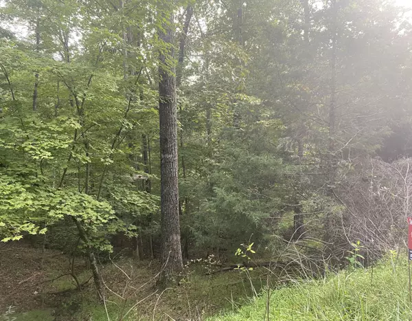 Hardy, VA 24101,Lot 3 Cedar Bluff LN