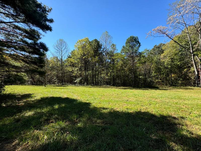 Lot 2 Narrows RD, Boones Mill, VA 24065