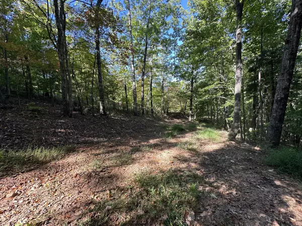 Woolwine, VA 24185,0 Timber Run DR