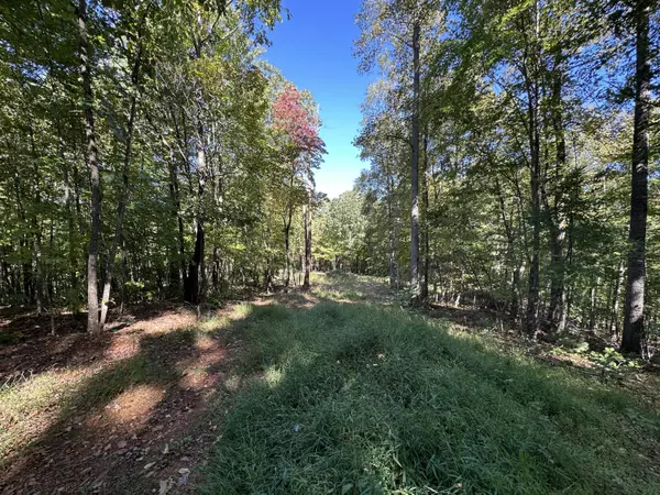 Woolwine, VA 24185,0 Timber Run DR