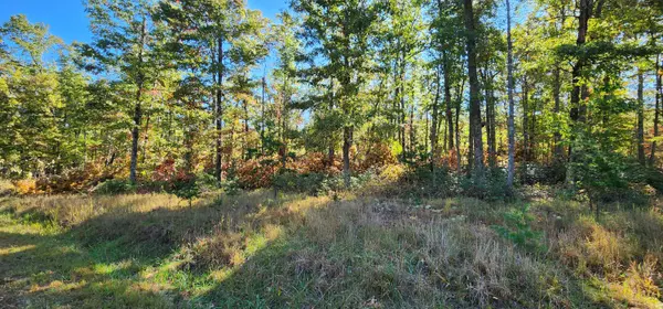 Lot 102 Black Diamond RD, New Castle, VA 24127