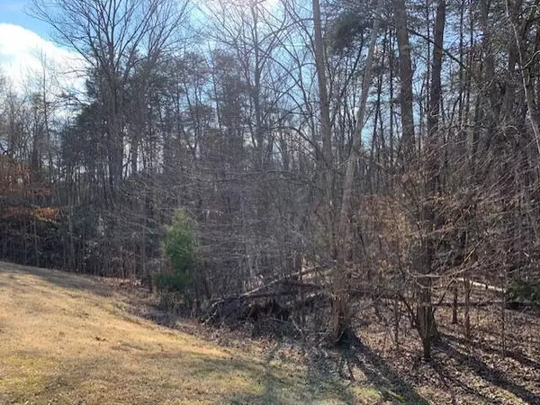 Gretna, VA 24557,LOT 138 Marina View RD