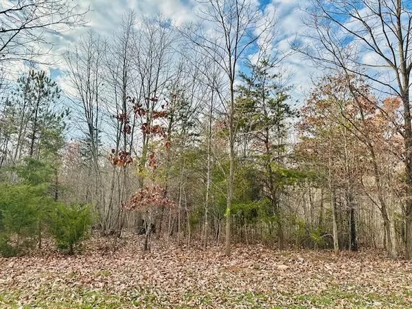 Lot 7 Waterford DR, Moneta, VA 24121