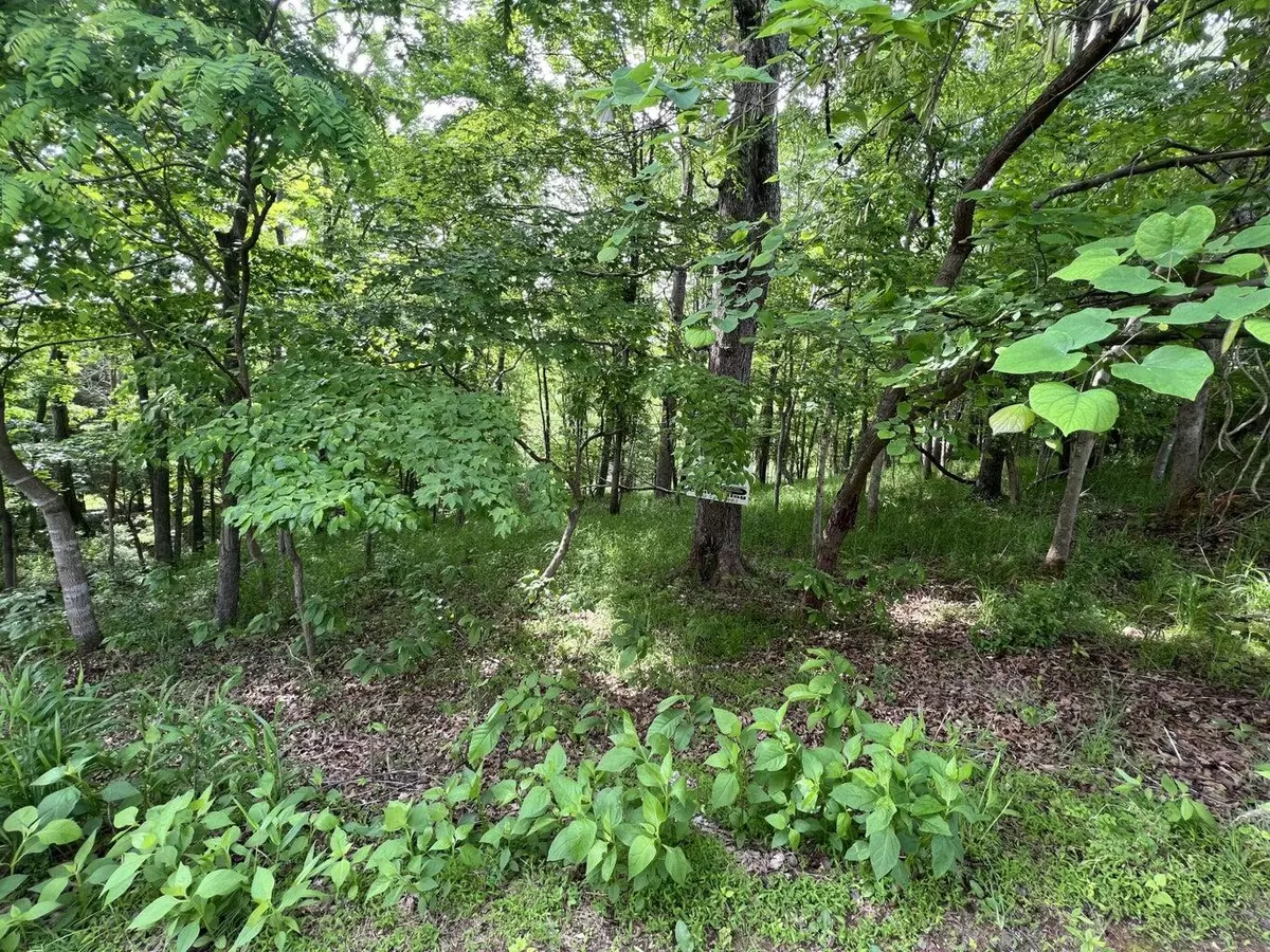 Bedford, VA 24523,Lot 21 Twin Lake DR