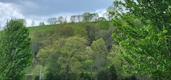 New Castle, VA 24127,Lot 32 Johns Creek RD