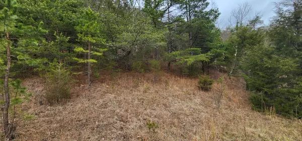 Lot 33 Johns Creek RD, New Castle, VA 24127