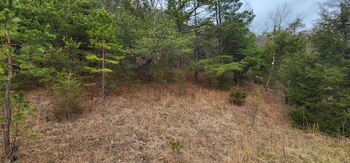 New Castle, VA 24127,Lot 33 Johns Creek RD