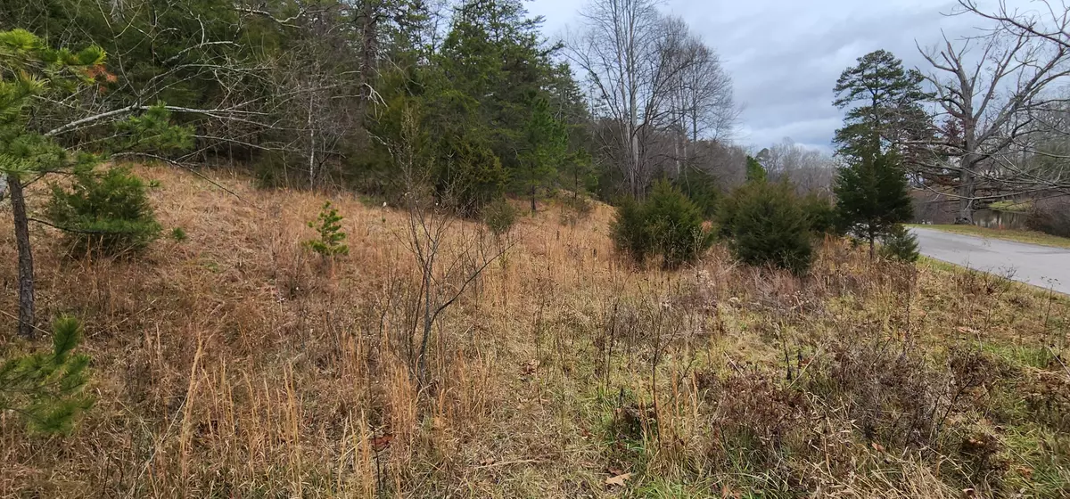 New Castle, VA 24127,Lot 34 Johns Creek RD