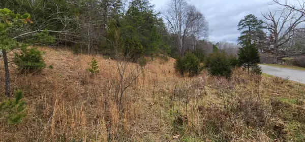 Lot 34 Johns Creek RD, New Castle, VA 24127