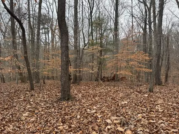Lot 24 Old Post RD, Moneta, VA 24121