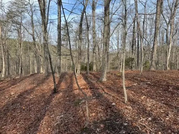 Lot 36 Chestnut DR, Hardy, VA 24101