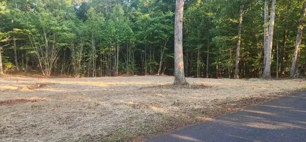 Moneta, VA 24121,Lot 58 Buccaneer RD