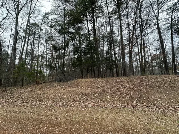 Martinsville, VA 24112,0 Stonewall Jackson TRL