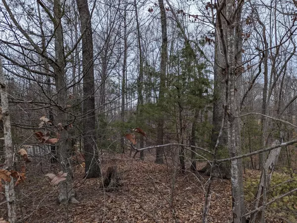 Rocky Mount, VA 24151,0 Stoney Mill RD