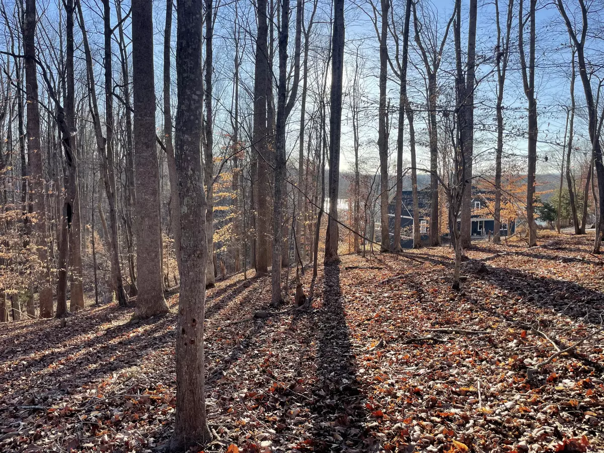 Moneta, VA 24121,Lot 118 Brentwood LN